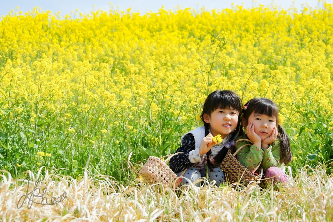 大森光太郎・K-PHOTOが撮影した「家族写真撮影」の写真