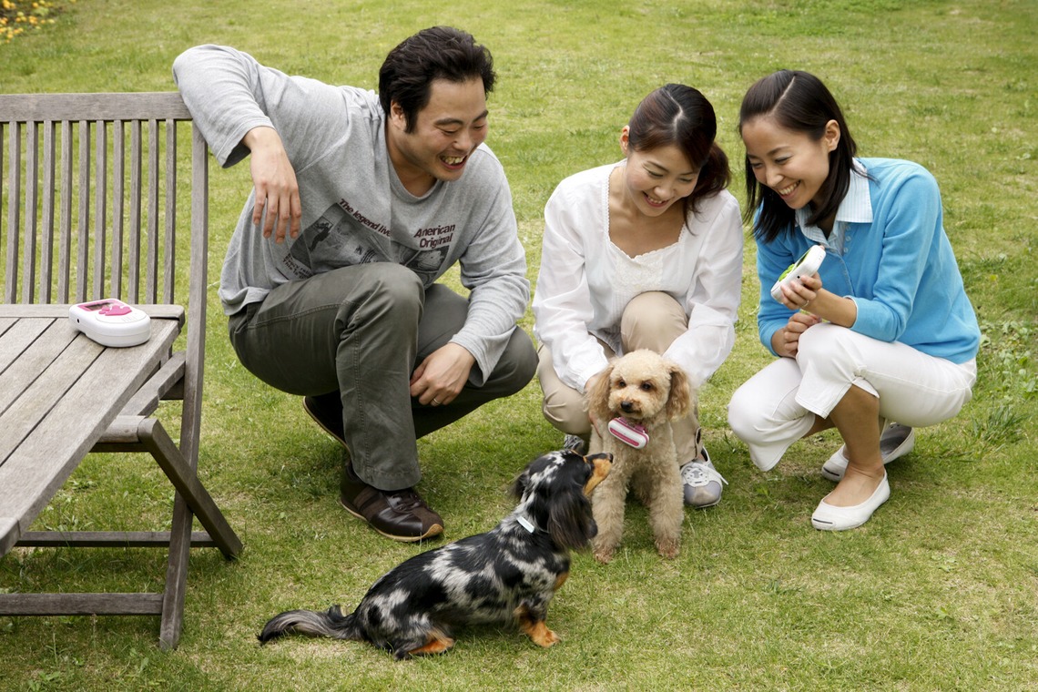 クマが撮影した写真のアルバム「ペット撮影」