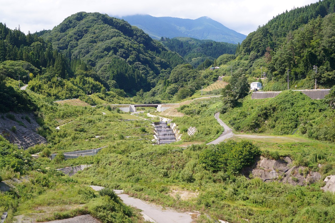 出張撮影のメモリーズが撮影した「nature-アラカルト」の写真