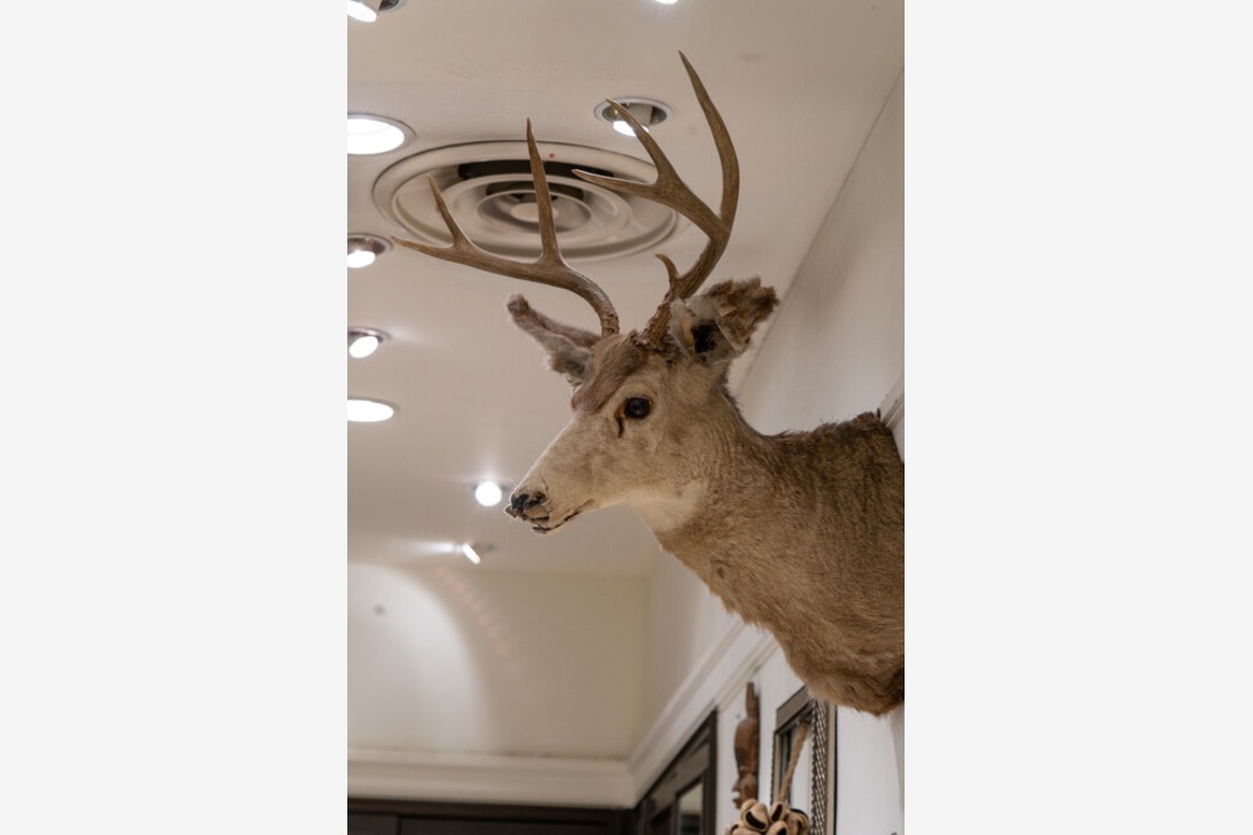 手塚隆弘が撮影した「気ままに」の写真