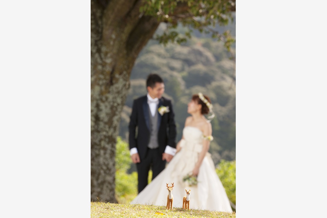 B WORKs PHOTOGRAPHY（丸山  隆史）が撮影した写真のアルバム「フォトギャラリー」