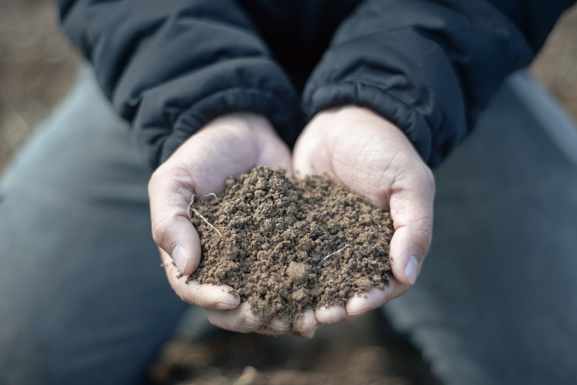SHO HASEGAWAが撮影した「産地で働く（取材撮影）」の写真
