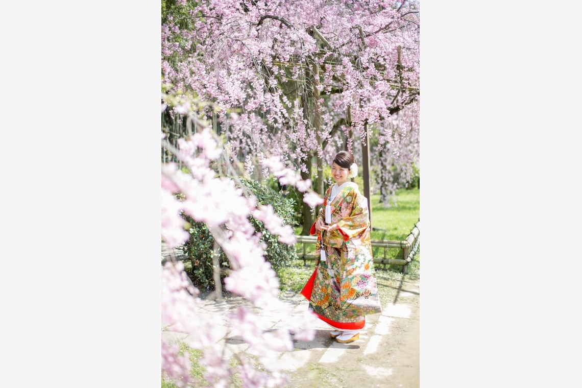 アトリエカーシャが撮影した「京都の桜＆和装ロケ」の写真