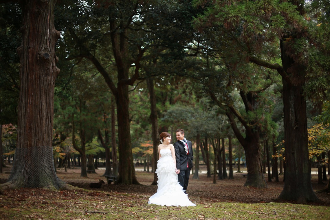 Hayashi Photo Worksが撮影した「奈良フォト」の写真