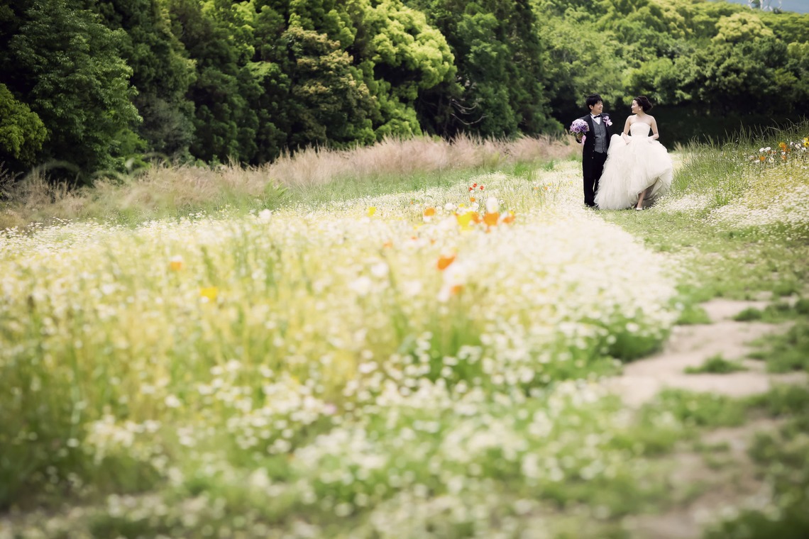 elle pupaが撮影した「大阪」の写真