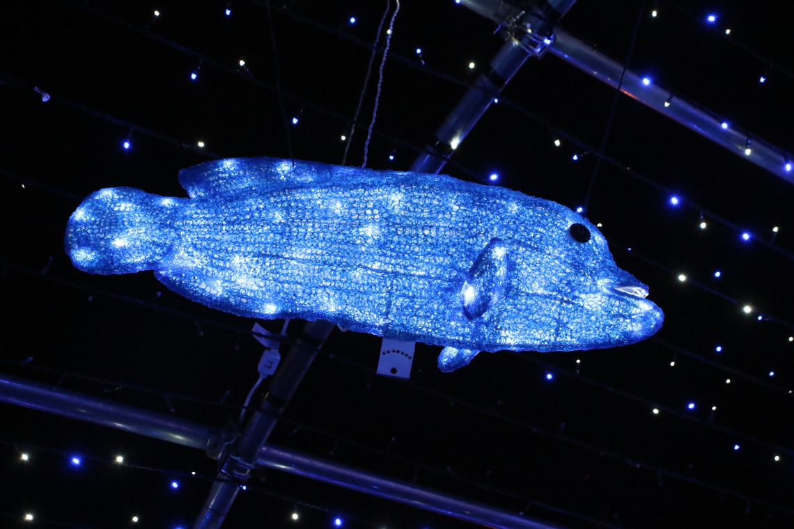 ＮＫ フォトエージェンシーが撮影した「建物・風景写真③(多摩センター駅前イルミネーション）」の写真