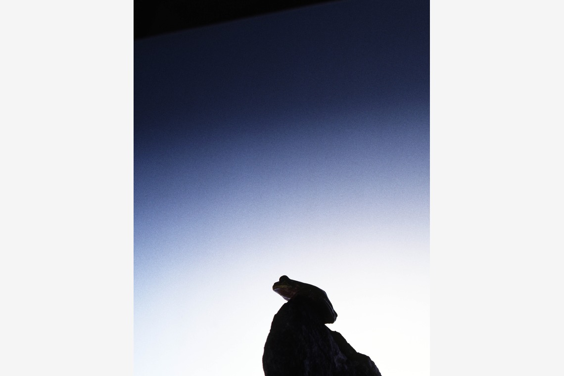 kiharu&photoが撮影した「物撮り【イメージ】」の写真