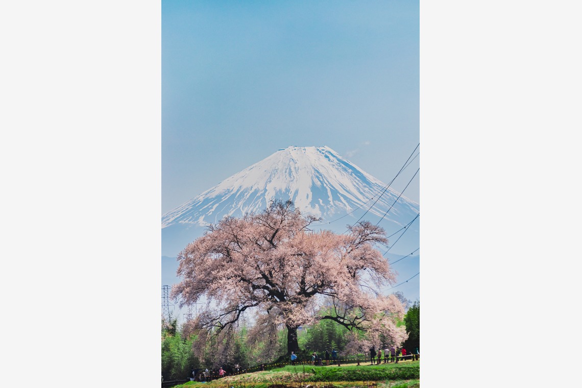内藤駿介が撮影した写真のアルバム「風景」