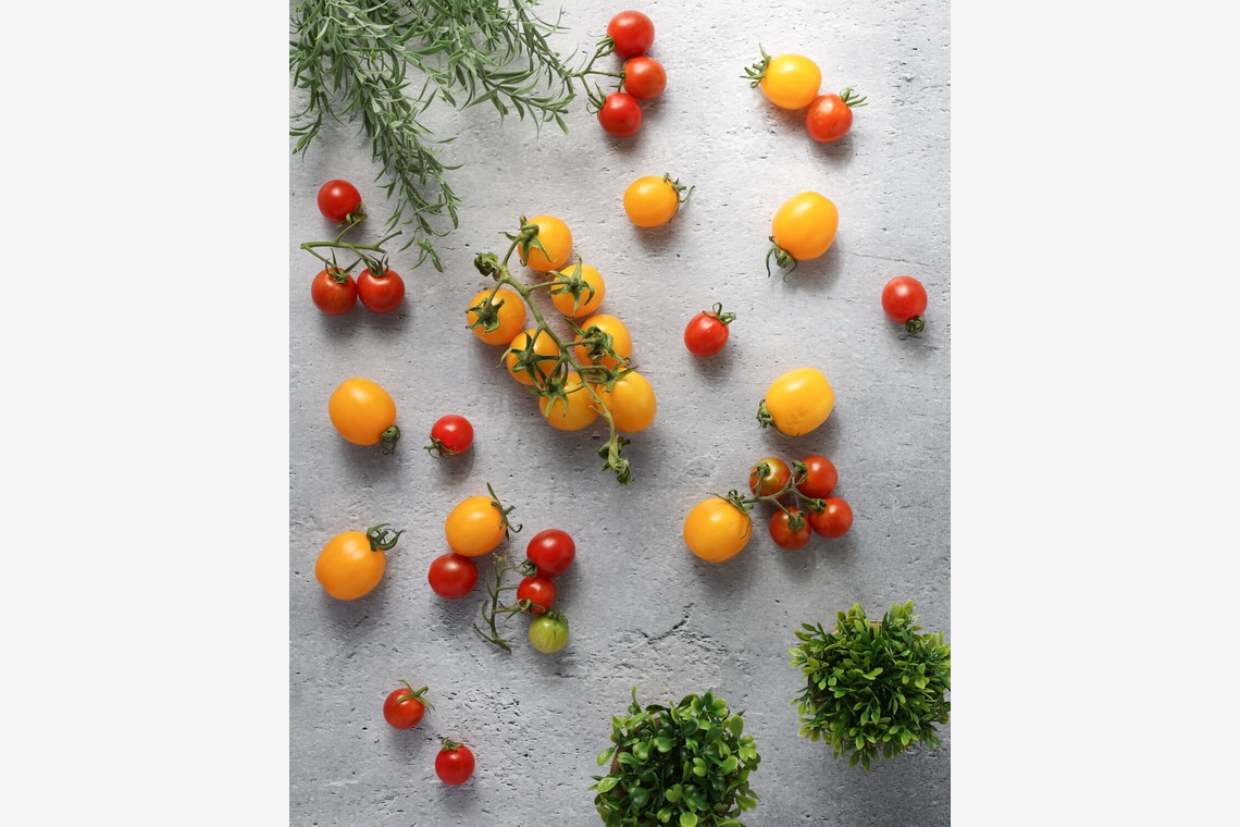 ちずカメラが撮影した「食品メニュー撮影」の写真