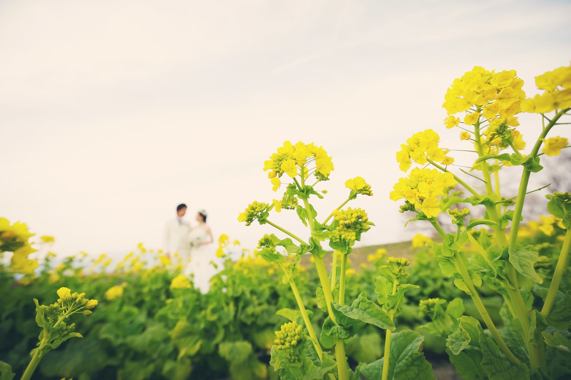 elle pupaが撮影した「滋賀」の写真