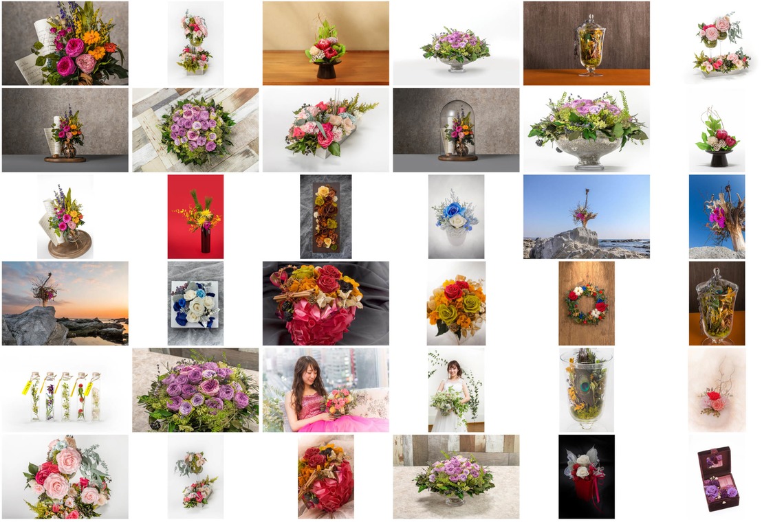 オーロラスタジオが撮影した「作例」の写真