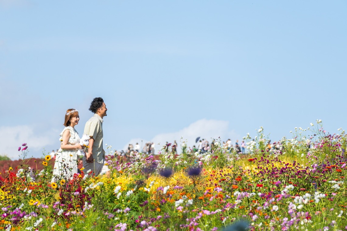 パッチー・クリエイツ