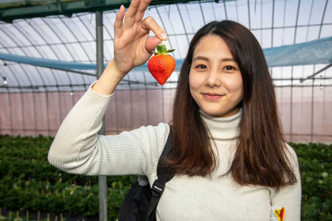 岩坪眞一郎が撮影した写真のアルバム「SNS、宣材写真」