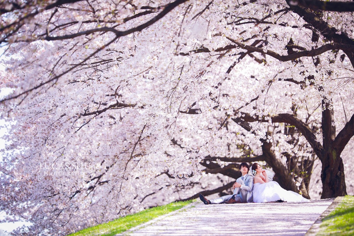 Lucas Shu Photographyが撮影した「Lucas Shu 作品集」の写真