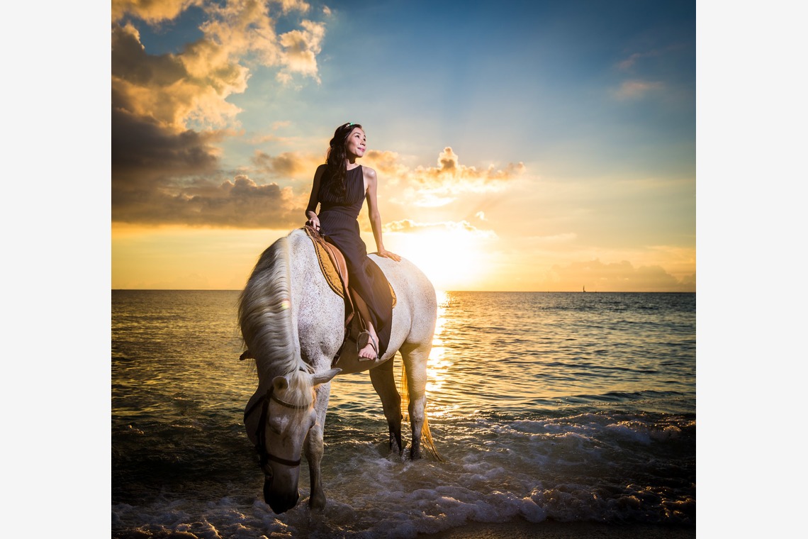 fotoShisa Photography（ピートリオン）が撮影した「フォトギャラリー」の写真