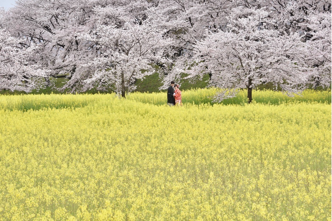 キキフォトワークスが撮影した「Pre Weddingphotoshoot at Nara with kimono in spring to summer」の写真