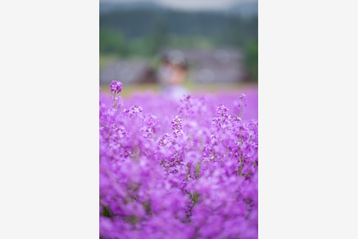 studio HATOYAが撮影した「婚礼写真6」の写真