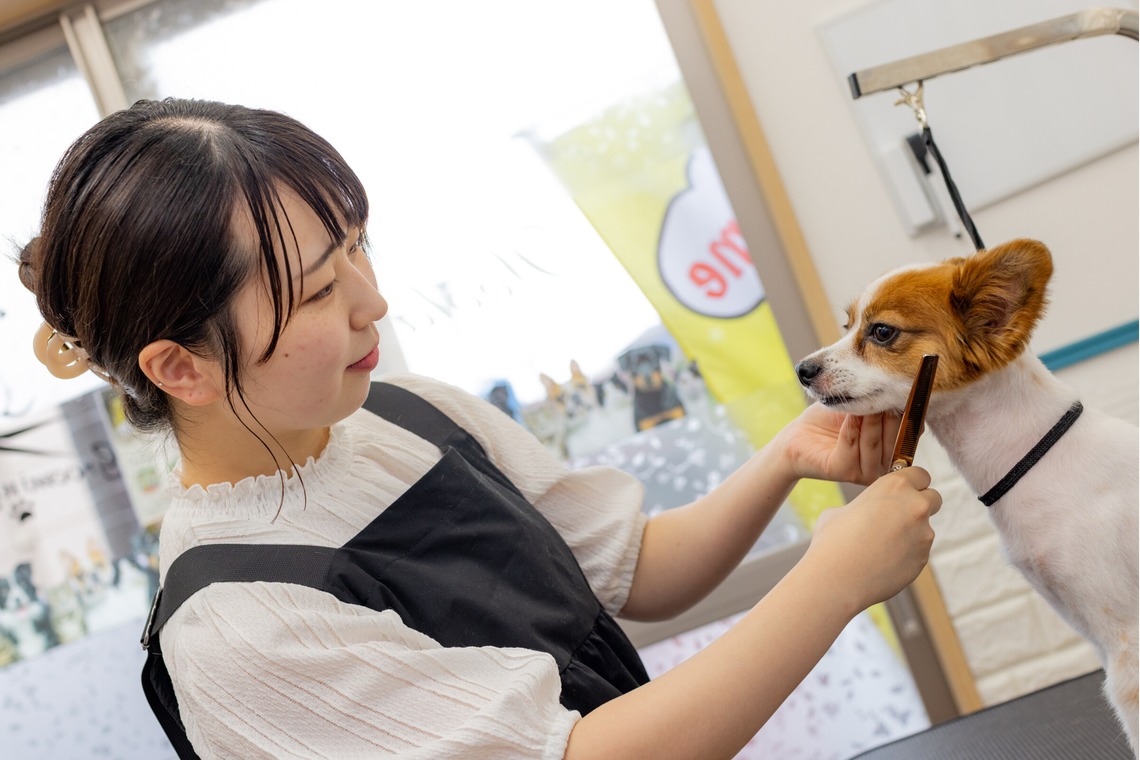 Yuichiが撮影した写真のアルバム「人物／ペット」
