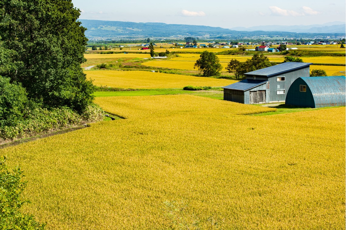 株式会社インターブレイン