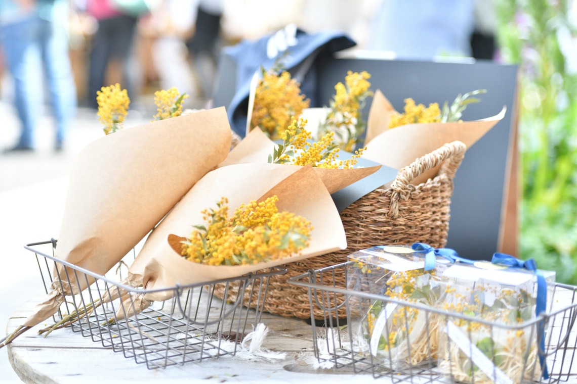 ライトステージが撮影した「イメージカット」の写真