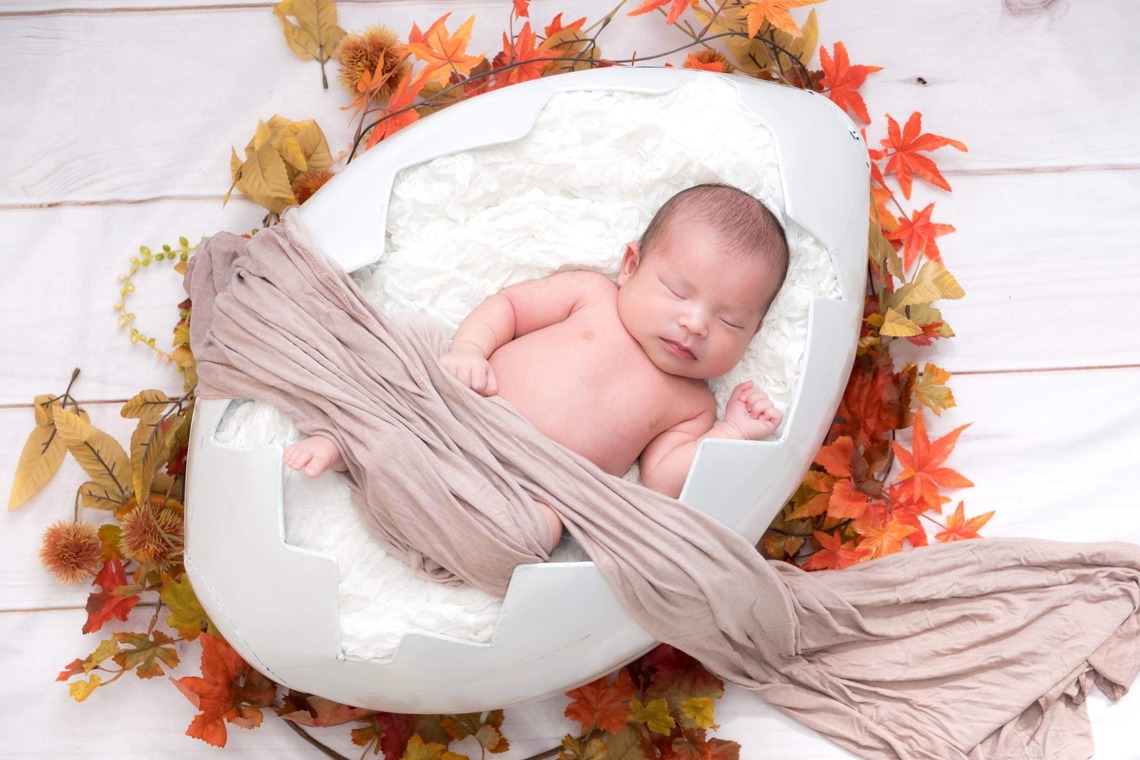 かわもとえつこが撮影したニューボーンフォトのアルバム「ニューボーンフォト」