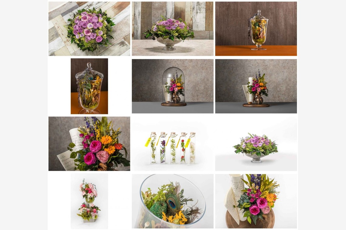 オーロラスタジオが撮影した「作例」の写真