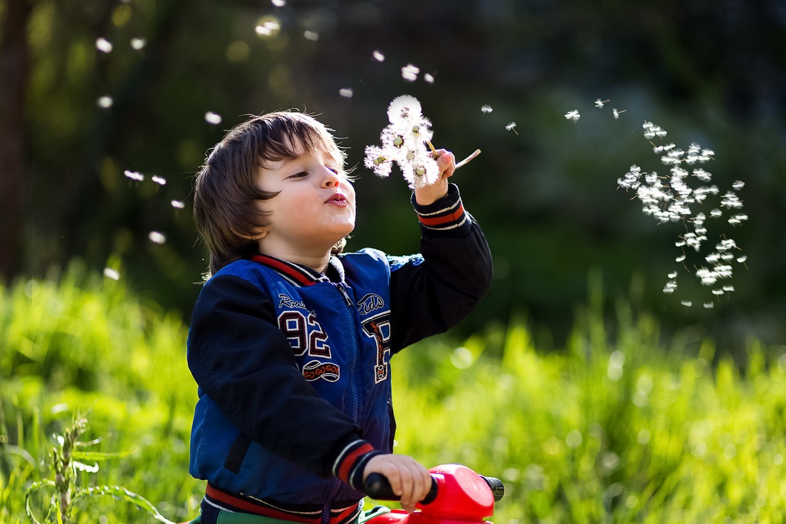 Blagovesta Filipova Photographyが撮影した「ブルガリア」の写真