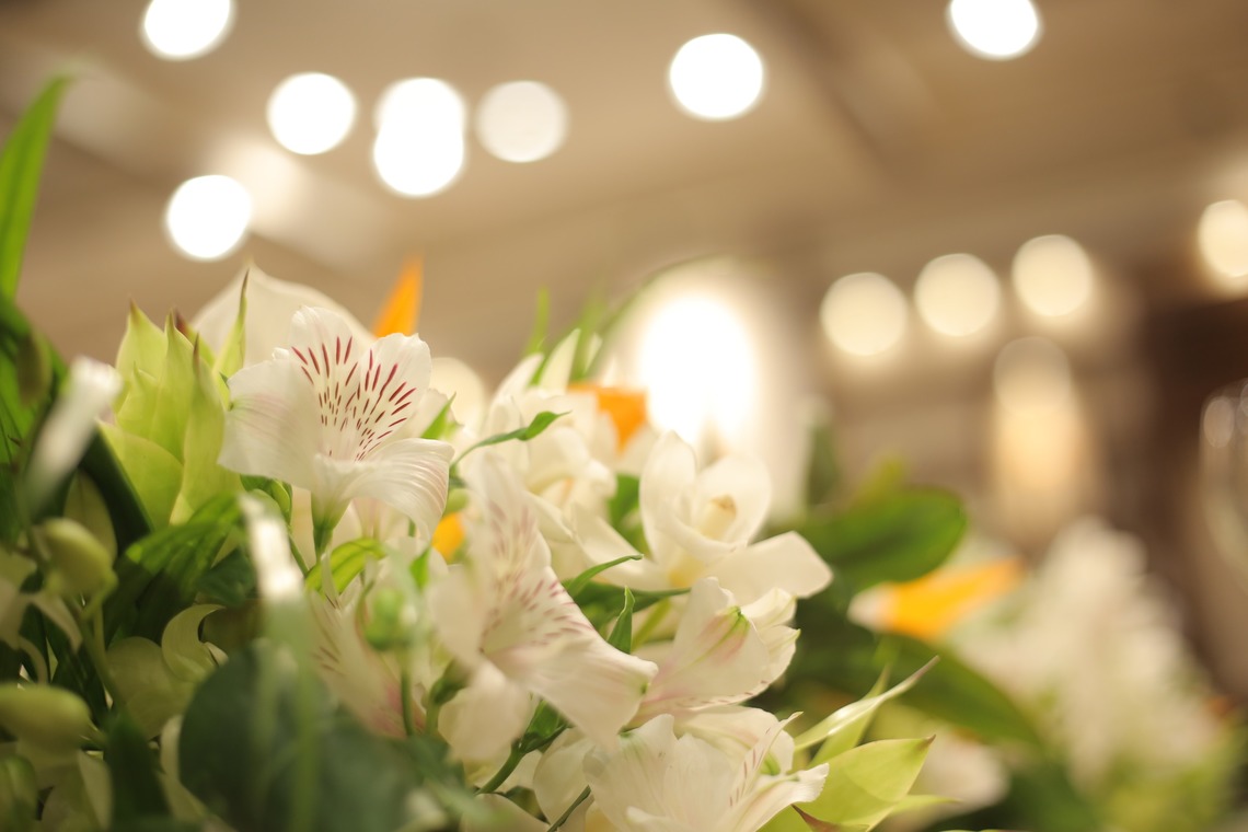 Photographer  Tomoが撮影した写真のアルバム「wedding」