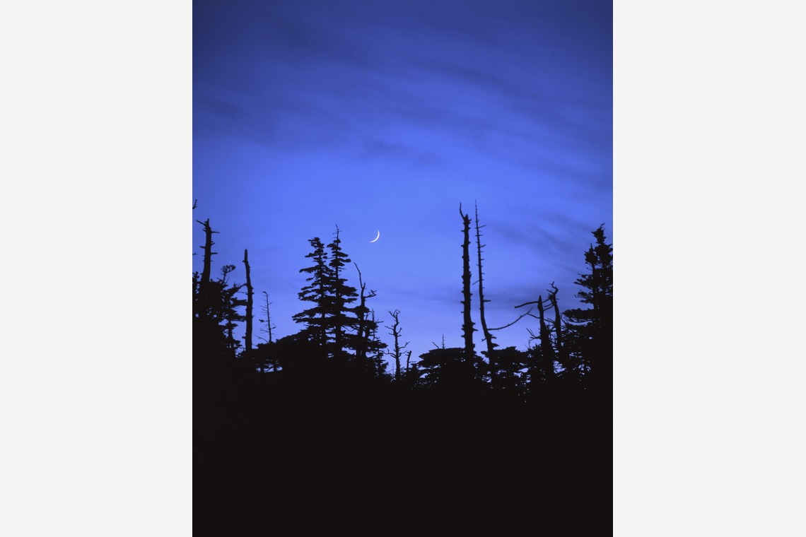 kiharu&photoが撮影した「風景【ロケ撮影】」の写真