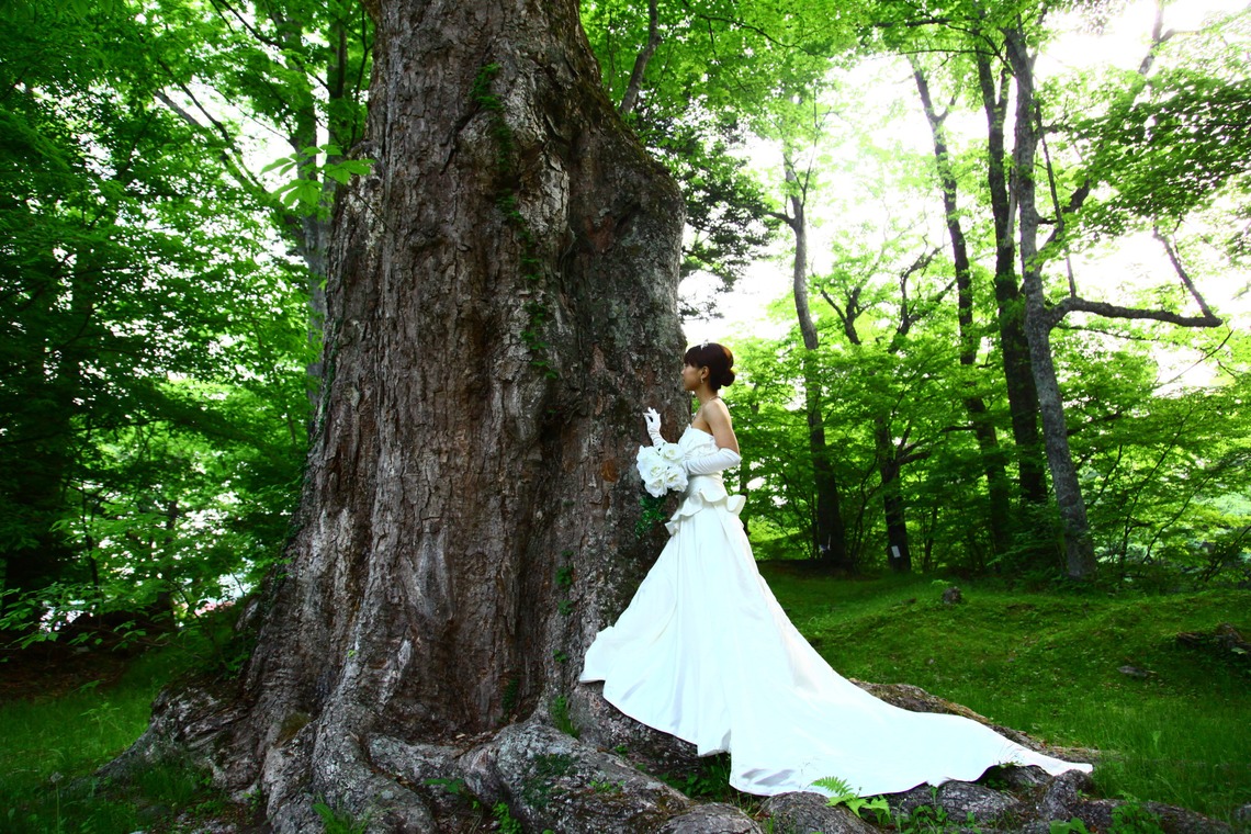 ピースフル ピクチャーズ (吉田 康太郎)が撮影した写真のアルバム「軽井沢ロケーションフォト」