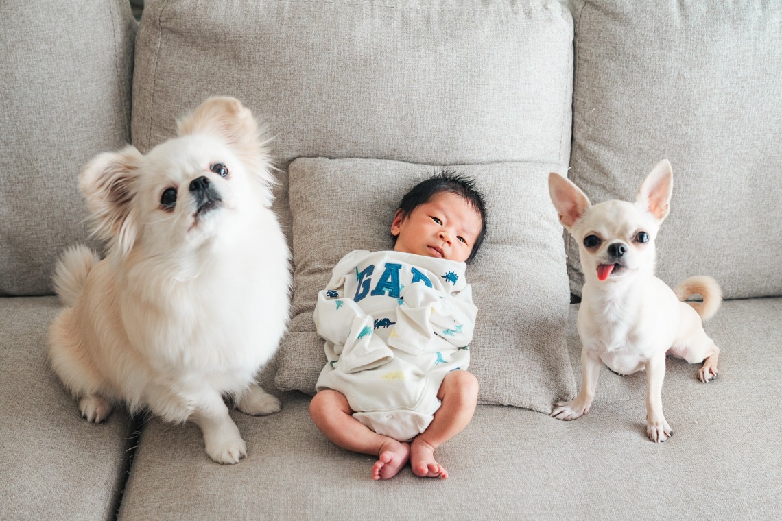 岩水悠が撮影した「ニューボーン（クライアント自宅）」の写真