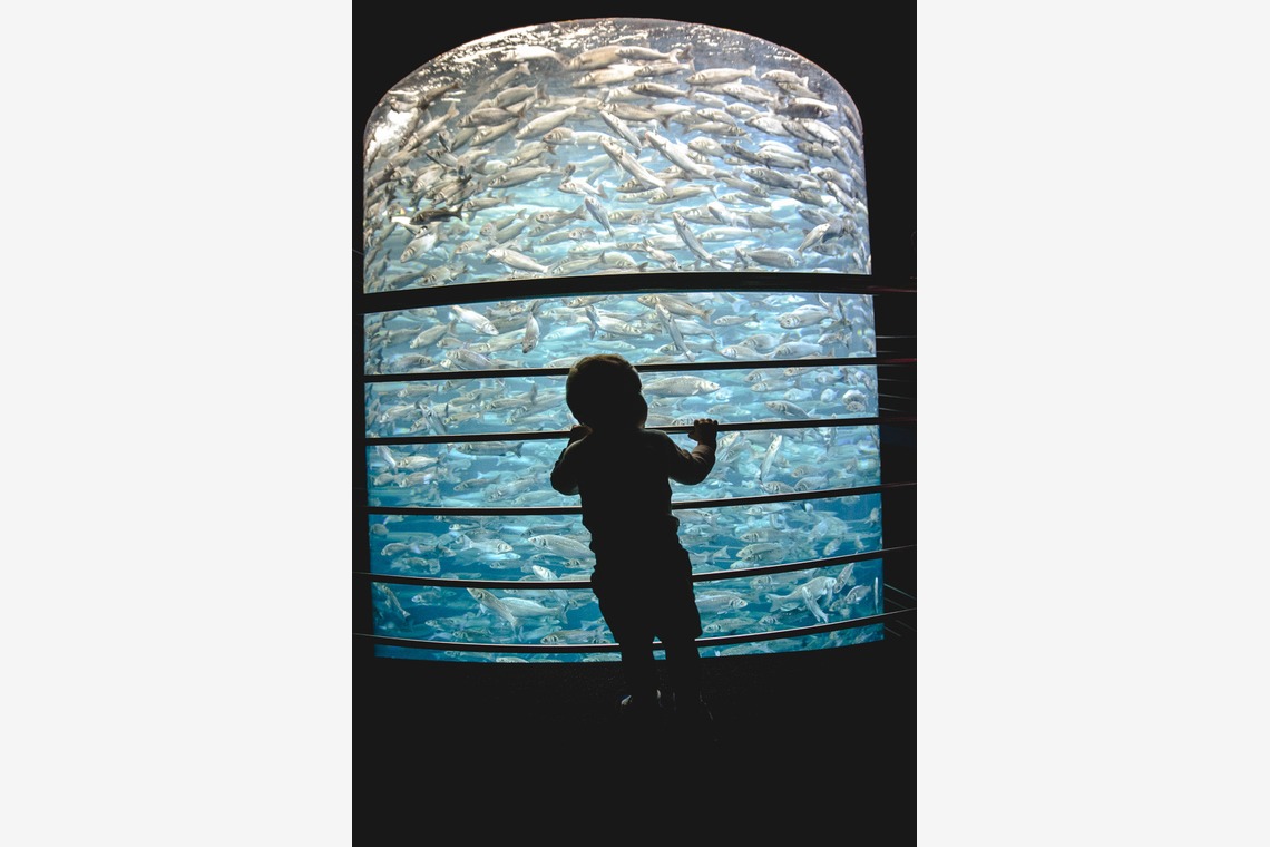 Jacek Cichopekが撮影した「ポーランド」の写真