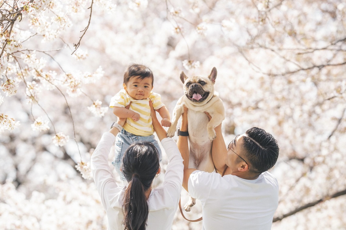 大久保佑華が撮影した写真のアルバム「ファミリーフォト」