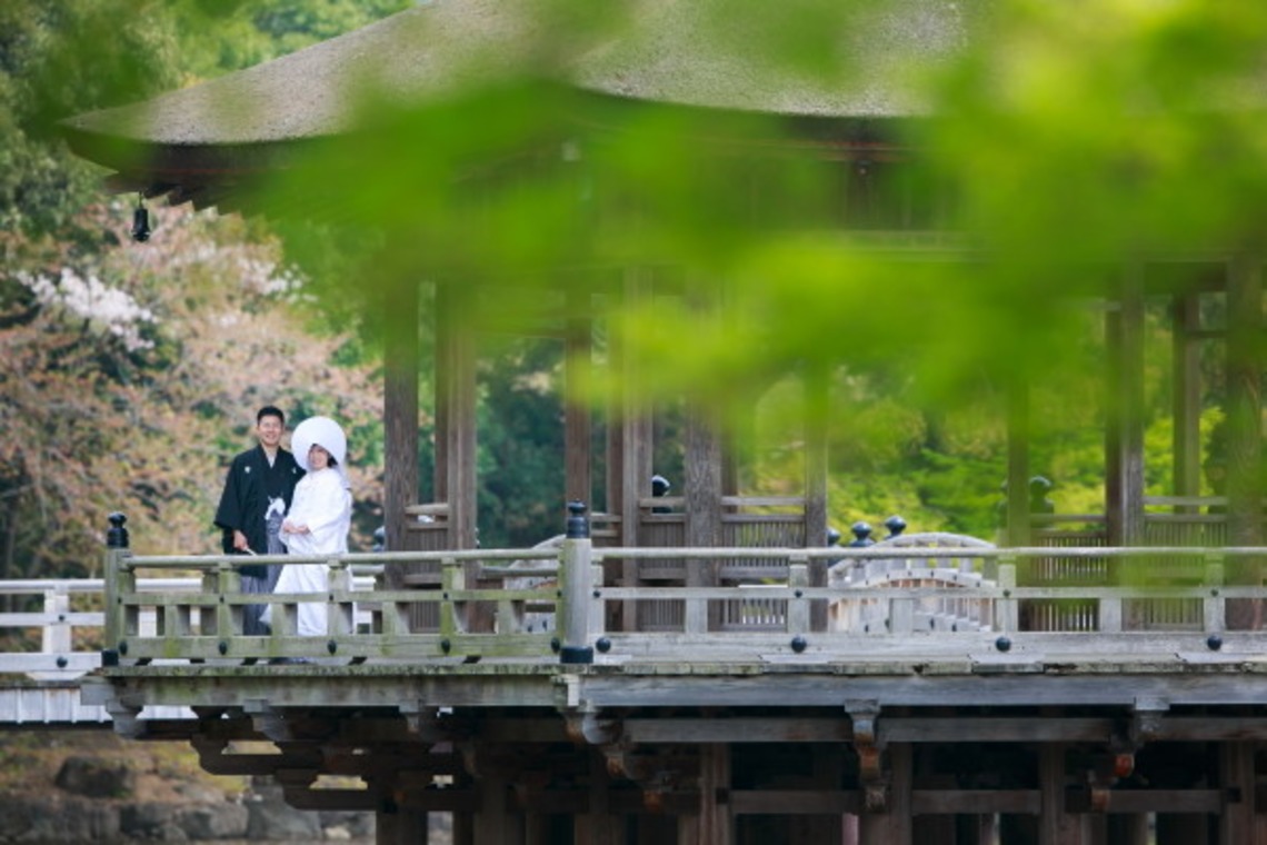 ピュアアーティス(小島 靖雄)が撮影した写真のアルバム「和婚フォト」