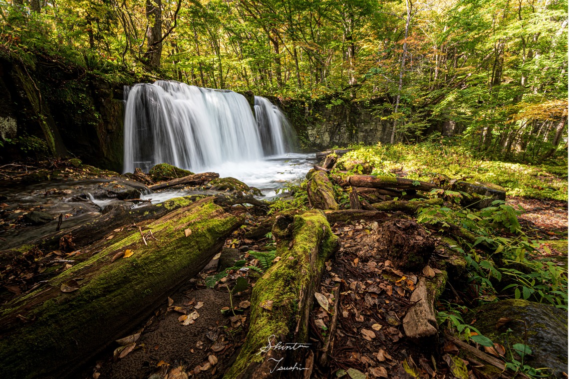 Shintaro Tsushimaが撮影した「風景」の写真