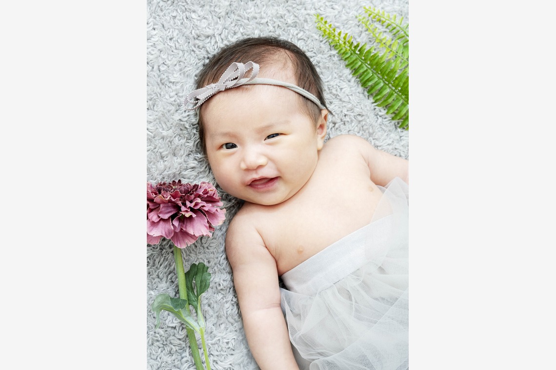 松野葉子が撮影した写真のアルバム「家族写真」