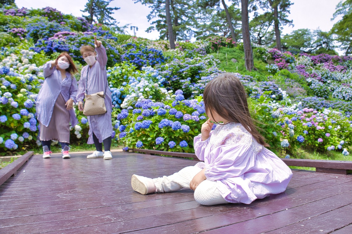 naru2photoが撮影した家族写真の出張撮影のアルバム「みんな紫陽花色の衣装で。」