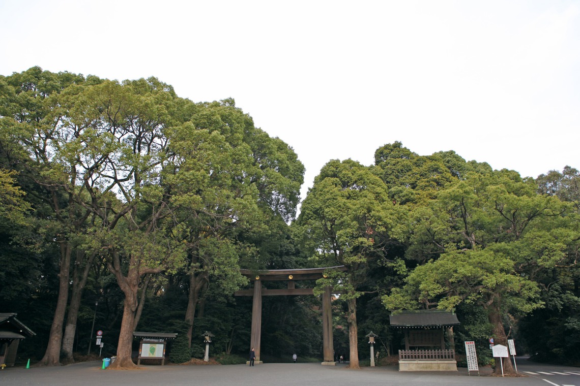 村田わかな広告写真が撮影した「収穫感謝と食の集い」の写真