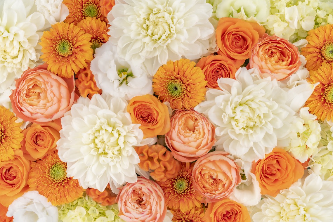 佐藤 葵が撮影した「広報用商品撮影」の写真