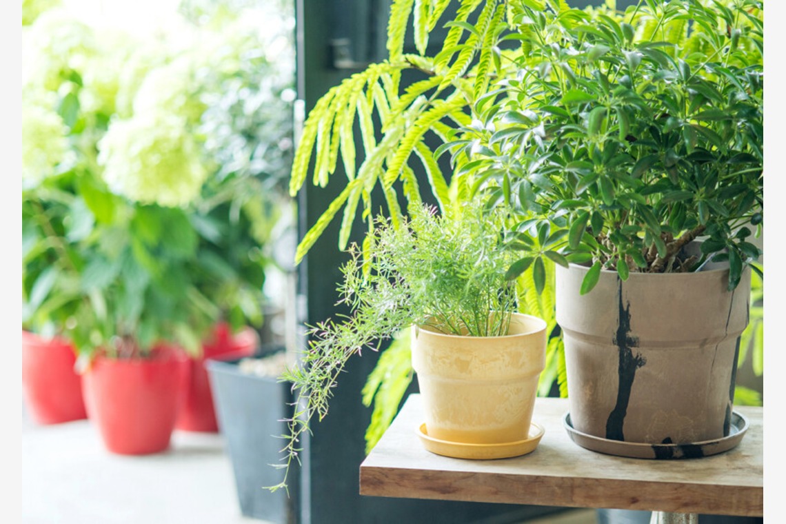 Yoppegraphy Photographic Serviceが撮影した「商品　雑貨」の写真