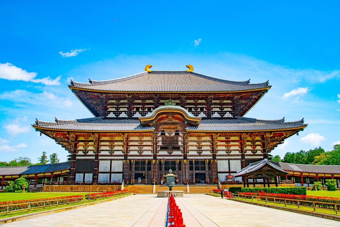 早川 陸が撮影した「サンプル写真」の写真