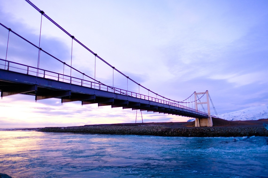 杉本 周平が撮影した写真のアルバム「動物・ペット・風景」