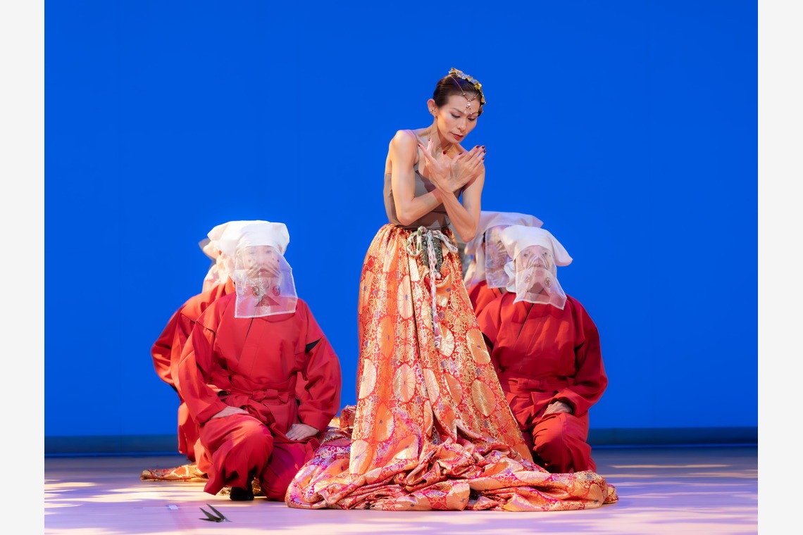 河野慈圓が撮影した写真のアルバム「イベント撮影」