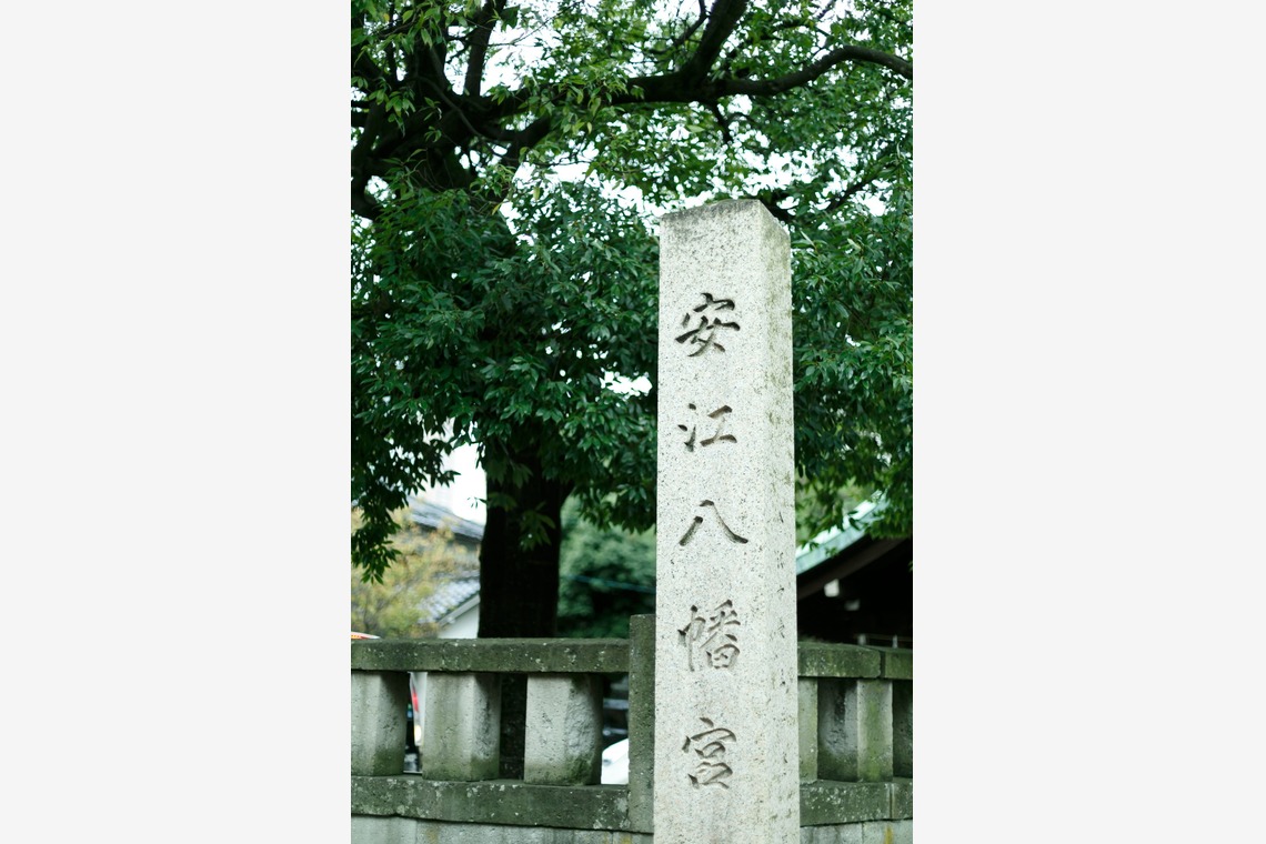 Chihiro Photographyが撮影した七五三フォトのアルバム「五歳男の子七五三Photo」