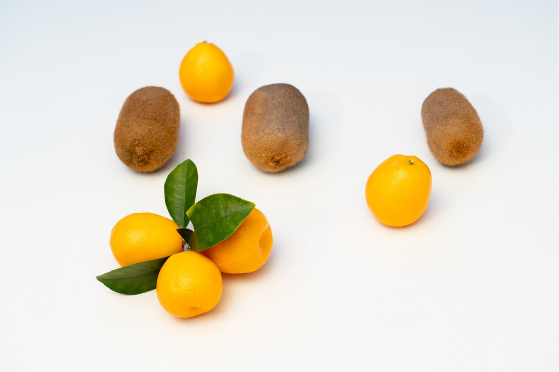 荻原　祐之が撮影した写真のアルバム「フルーツ」