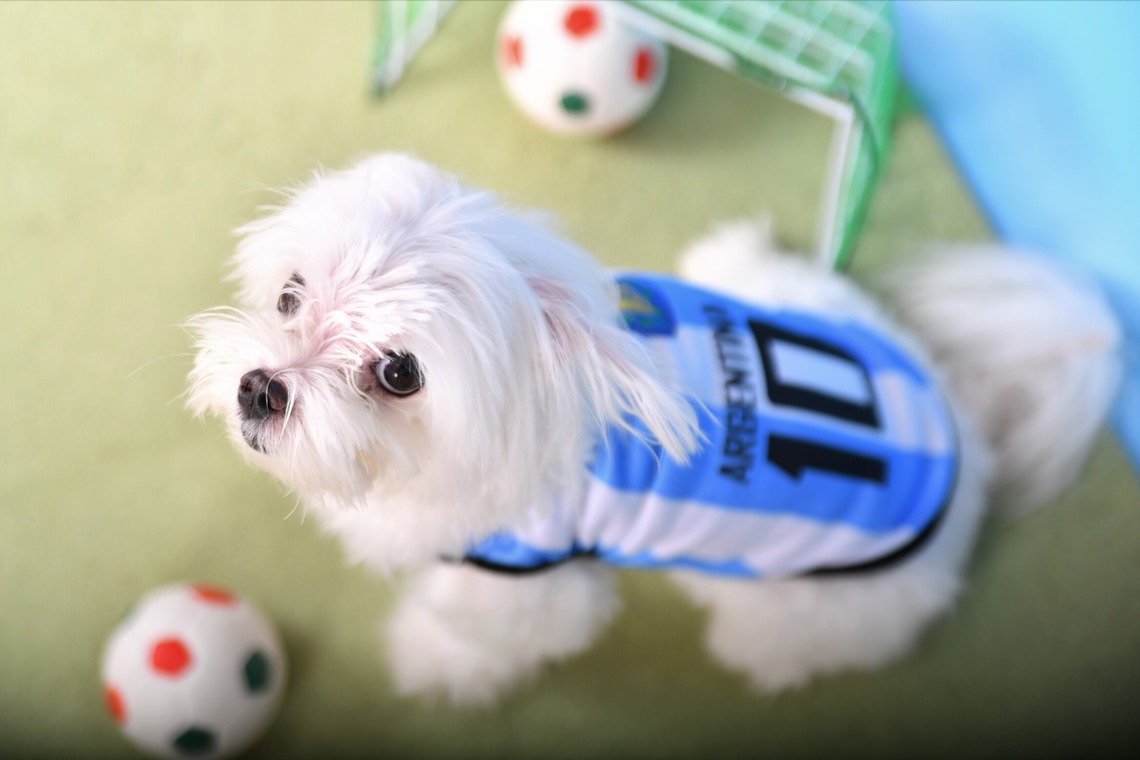 Photo la feliceが出張撮影した家族写真(キッズ,ベビーフォト)などが写った「Photo la felice」の家族写真