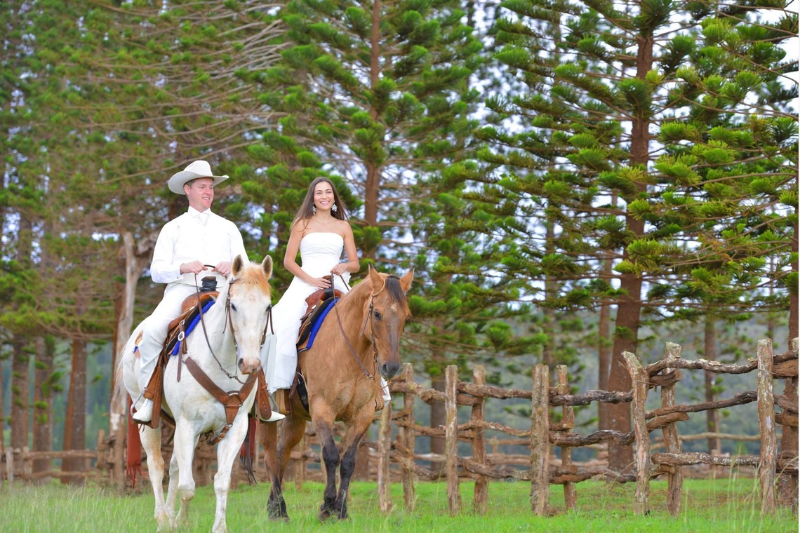 今林 浩一が撮影した写真のアルバム「ハワイ」