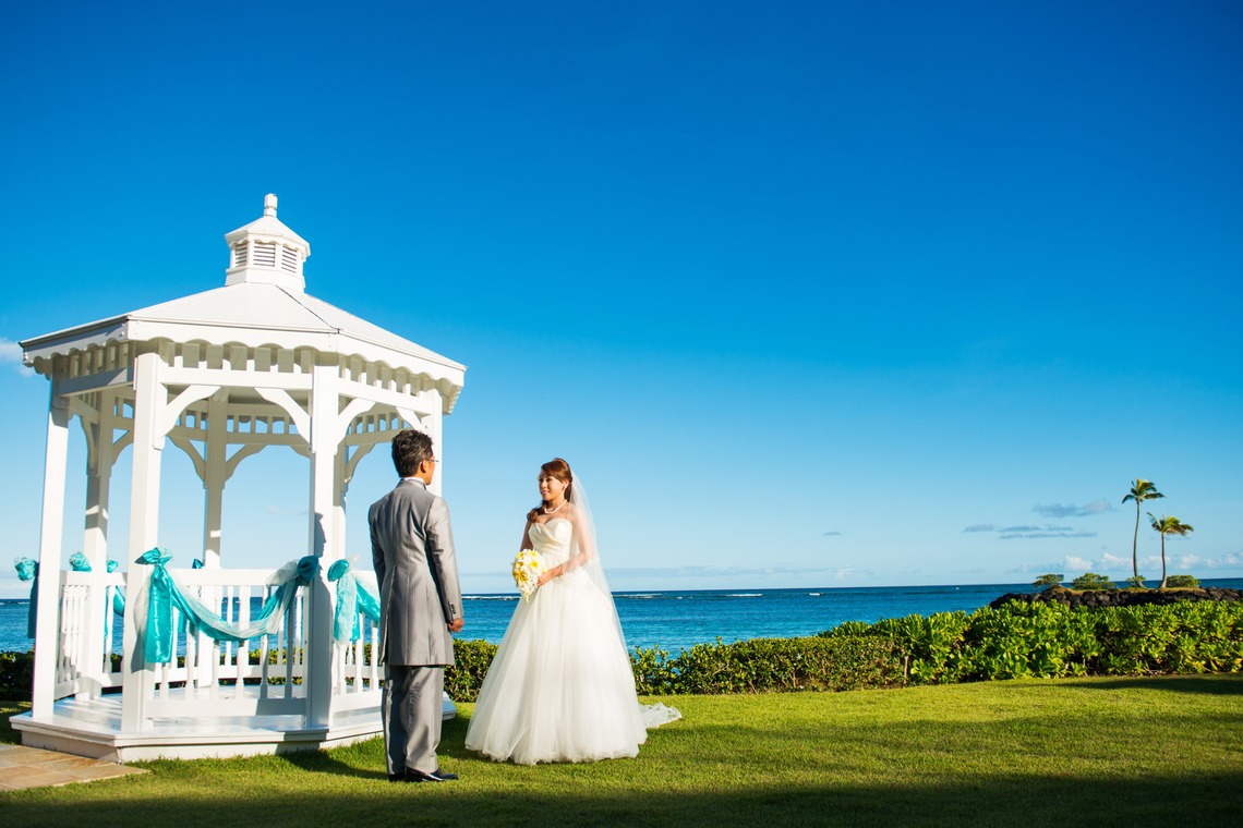 Photo of  taken by bird and insect ltd.