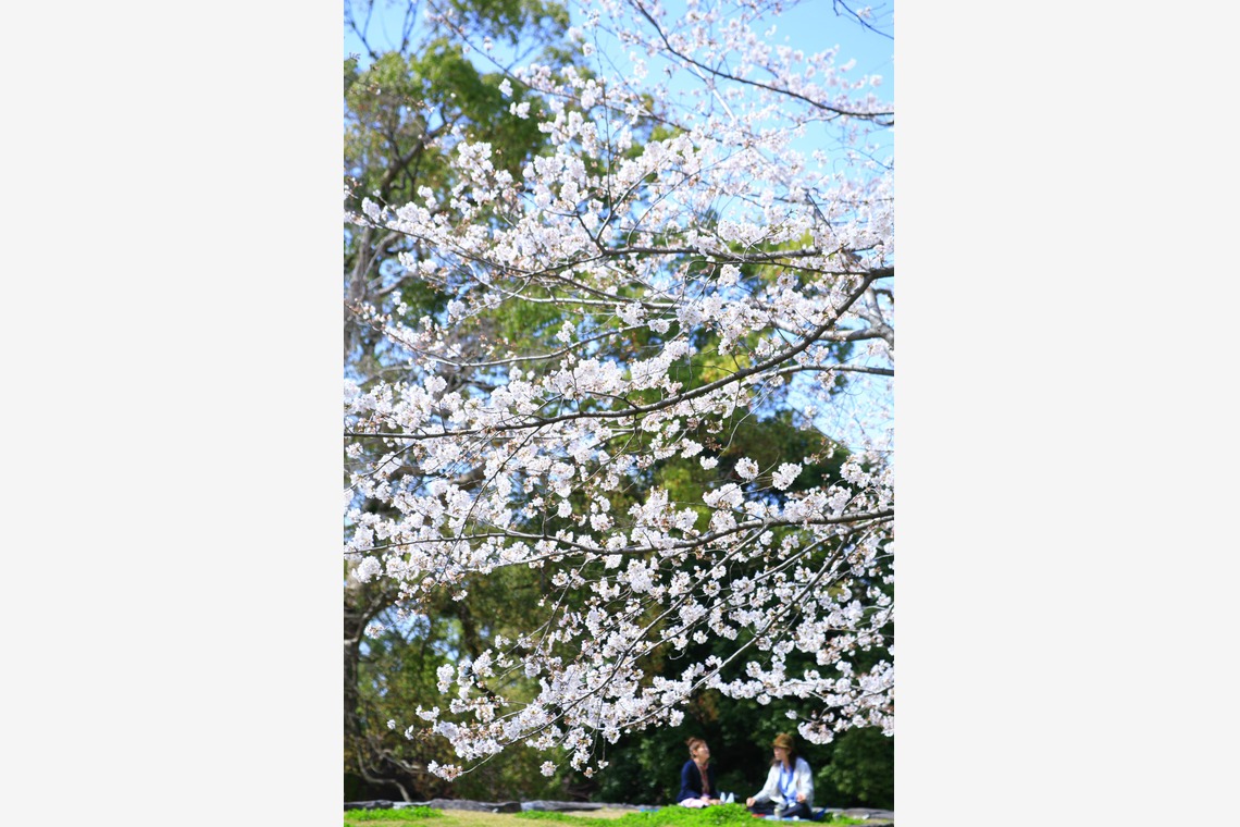 blink photoが撮影した「風景」の写真