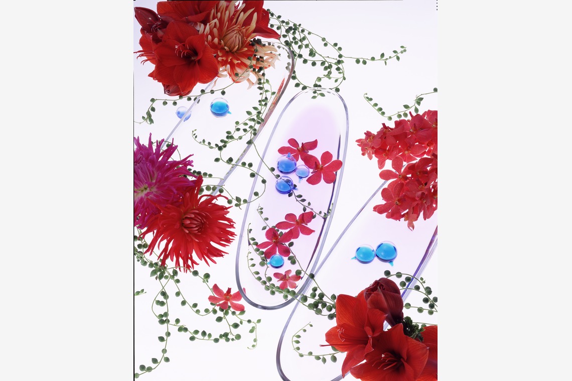 株式会社スタジオカールが撮影した写真のアルバム「商品撮影　写真撮影」